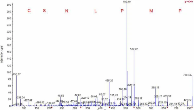 Figure  2.  Identification  of  molecular  mass  and  amino  acid  sequence  of  the  purified  peptides  from  powdered  katsuobushi  (dried  bonito)  peptic  hydrolysate  by  HPLC