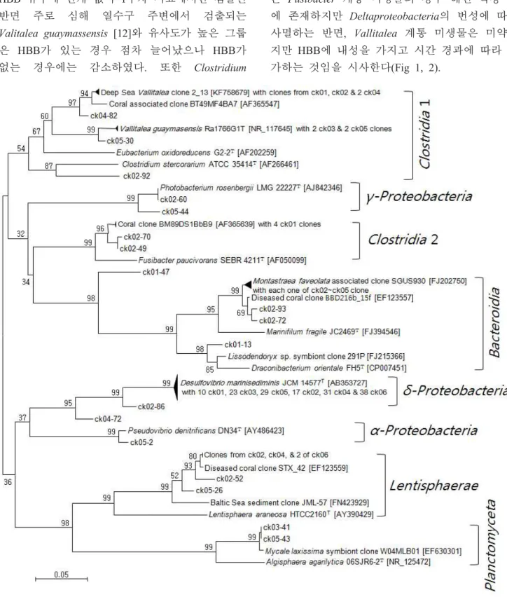 Fig  1.  Neighbor-Joining  tree  based  on  partial  sequence  of  16S  rRNA  gene  from  clones  of  the  untreated  and  hexabromobenzene  treated  sponge-associated  samples  with  closely  related  clones  in  GenBank.