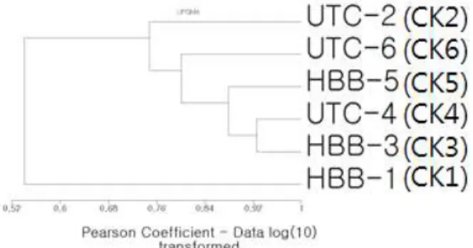 Fig  2.  Proportional  changes  of  clone  groups  with  transfer  times.  Transfer  was  conducted  with  one  week  interval.