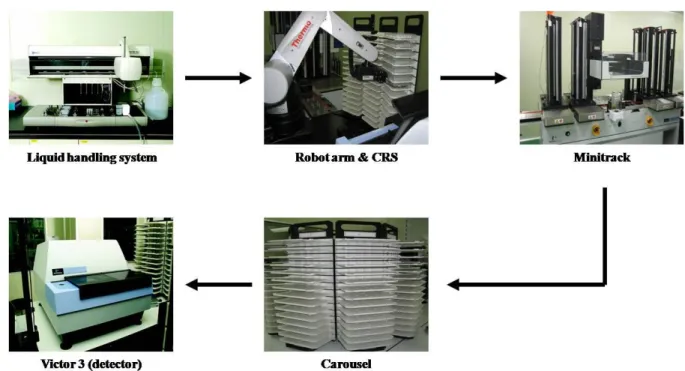 Fig.  1.  High  throughput  screening  system  for  assessing  α-glucosidase  inhibitory  activity.