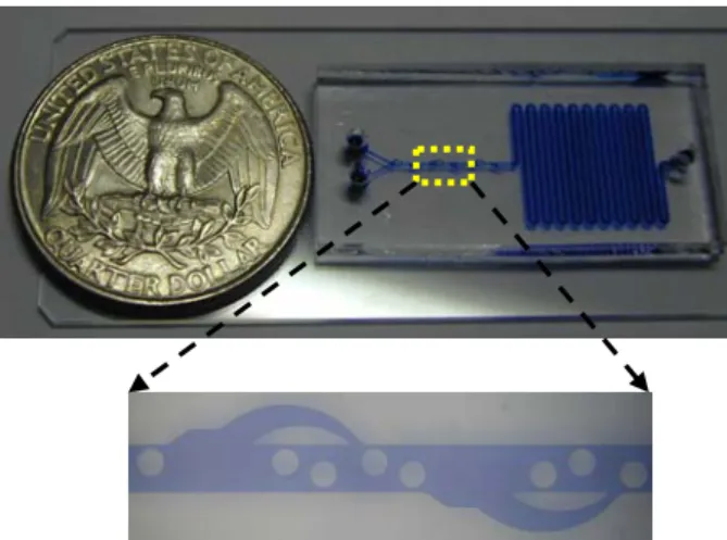 Fig. 2  Photograph of the fabricated microbiochip  이후에  생화학  시료를  주입하게  되면  소수성에  의  해  PDMS 채널  내에  기포가  생겨나게  된다
