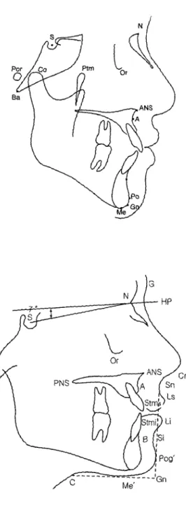 Fig 1. Skeletal landmarks.