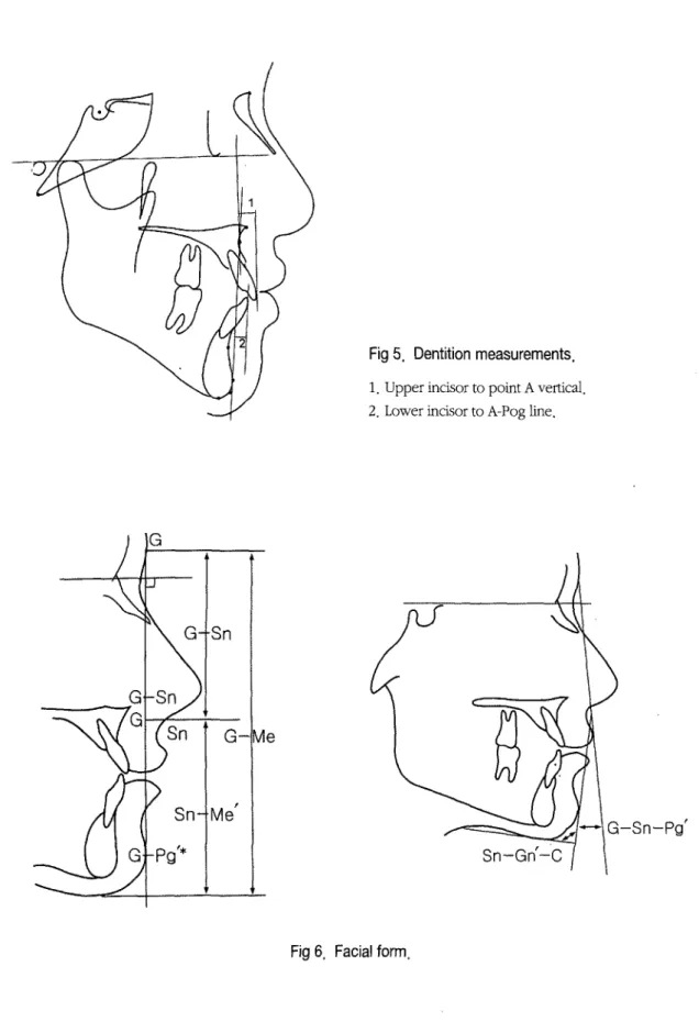 Fig 5. Dentition measurements.
