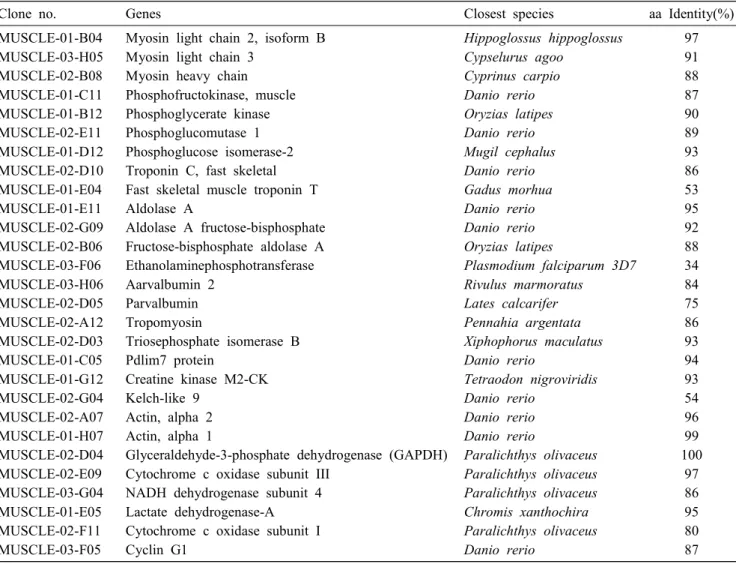 Table  3.  Mainly  identified  ESTs  from  the  muscle  cDNA  library  of  olive  flounder