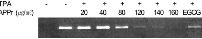 Fig.  2.  Effect  of  protein  extract  from  Asterina  pectinifera  (APPr)  on  expression  of  COX-2  protein