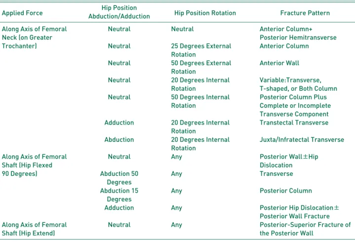 Table 1. Force Applied and Hip Position versus Fracture Pattern