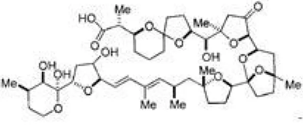 Fig.  1.  Chemical  structure  of  pectenotoxin-2.