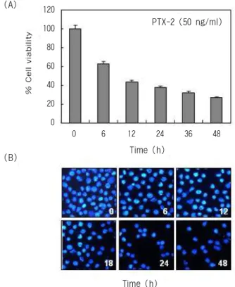 Fig.  3.  (A)  Inhibition  of  cell  viability  by  PTX-2  in  U937  human  leukemia  cells