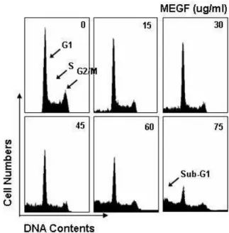 Fig.  2.  Anti-proliferative  effects  of  MEGF  in  several  human  cancer  cell  lines