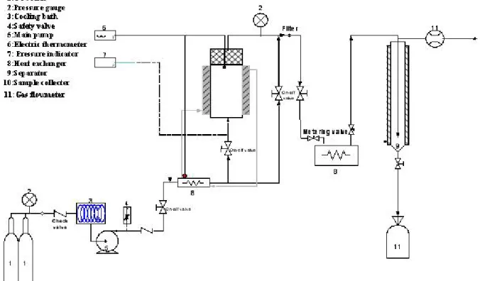 Fig.  1.  Schematic  diagram  of  supercritical  fluid  process.