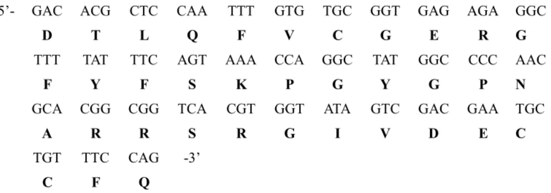 Fig.  1.  Nucleotide  and  deduced  amino  acid  sequence  of  the  partial  cDNA  obtained  by  PCR  from  total  RNA  of  korean  rockfish.