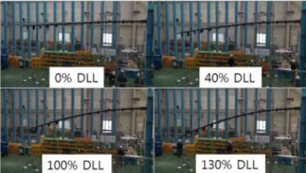 Fig. 16 EAV-3 Wing Static Strength Test