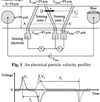 Fig. 1  An electrical particle velocity profiler 