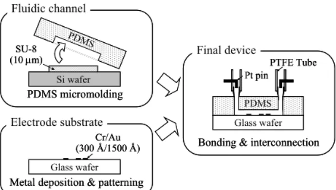 Fig. 3  Fabrication process of the electrical particle  velocity profiler, showing the cross section along  A-A’ in Fig
