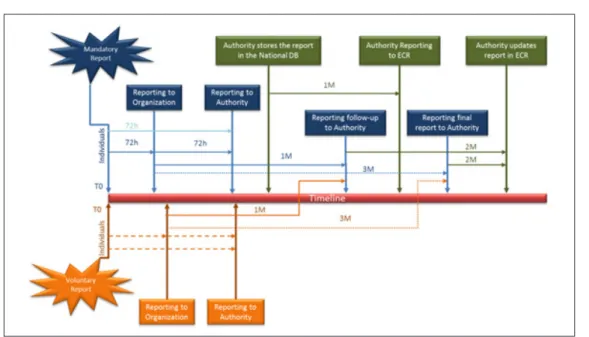 Fig. 7. EU Safety Risk Information Flow
