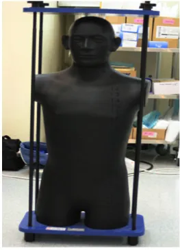 Fig.  1.  Rando  phantom