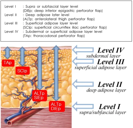 Fig. 6. Levels of microvascular dissection based on its perfrator. Four different levels of perforator flap thickness in the subcutaneous layer is classified into Level I (supra or subfascial layer) to Level IV(subdermal layer)