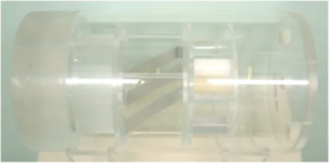Fig.  1.  AAPM  Phantom