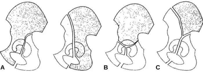 Fig. 1. AO comprehensive classification.