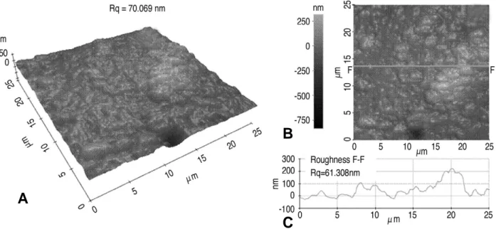 Fig. 2. Typical AFM surface topographies over a dimension of 25μm×25μm for CoCr femoral head, which are used to calculate surface roughness (Rq): (A) Three-dimensional AFM image, (B) Two-dimensional AFM image, (C) Average line profile analysis.