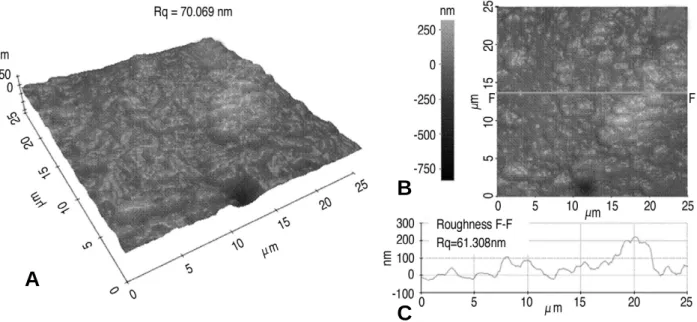 Fig. 2. Typical AFM surface topographies over a dimension of 25μm×25μm for CoCr femoral head, which are used to calculate surface roughness (Rq): (A) Three-dimensional AFM image, (B) Two-dimensional AFM image, (C) Average line profile analysis.