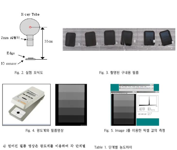Fig.  2.  실험  모식도 Fig.  3.  촬영된  구내용  필름