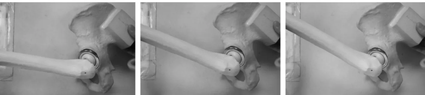 Fig. 4. Large head total arthroplasy model exam : there is no impingement occurred at each position.
