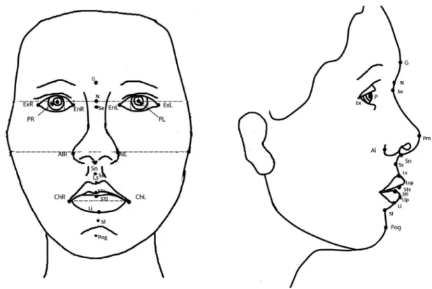 Fig. 1.  Facial soft tissue landmarks.