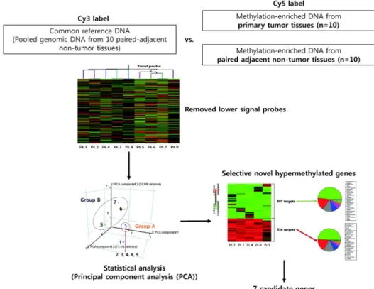 Fig. 1. Stepwise filtering processes for candidate gene selection. The methylated DNA was separately enriched from 10 primary  head and neck tumors and paired, adjacent nontumor tissues by a MeDIA technique