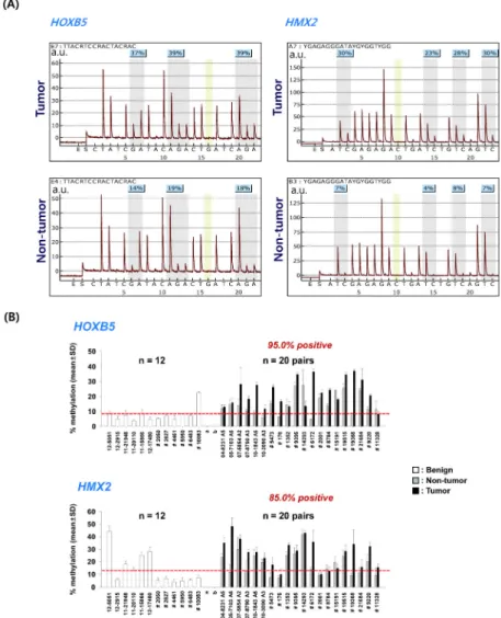 Fig. 3. Quantitative analysis of HOXB5 and HMX2 methylation by pyrosequencing. (A) Pyrogram from quantification of methylation  at the HOXB5 and HMX2 promoter in both tumor and non-tumor tissues