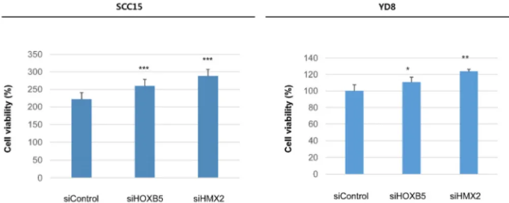 Fig. 5. HOXB5 and HMX2 suppression promote HNSCC proliferation. To evaluate the effect of HOXB5 and HMX2 suppression on cell proliferation, a WST-1 assay was performed after transient transfection of small interfering RNA (siRNA)