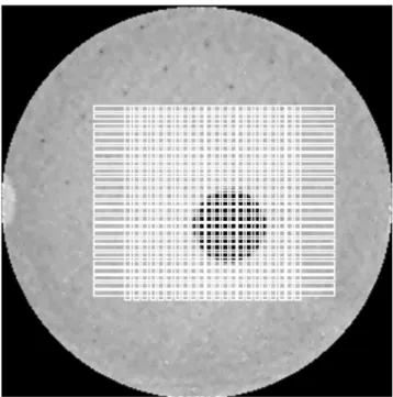 Fig. 3.  Rectangular ROIs (vertical and horizontal) are drawn to  identify highest standard deviation on disc 3.