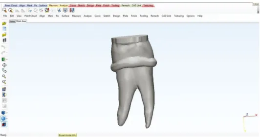 Fig. 4.  The scanning range on the  appropriate scope is set to cover the  tooth sample using a dental laser  scanner.