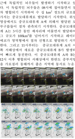 Fig. 2 Radar Image at 1300(L) and Temporal Distribution of 1hour Rainfall at Seoul. 선형 중규모대류계로 발달하기 시작한다 