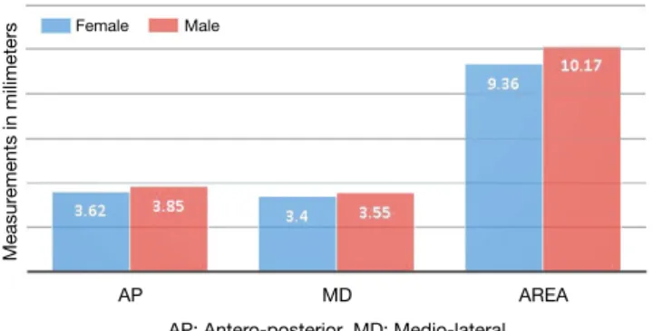 Fig. 3.  Average linear and areal measurements in males and fe- fe-males.