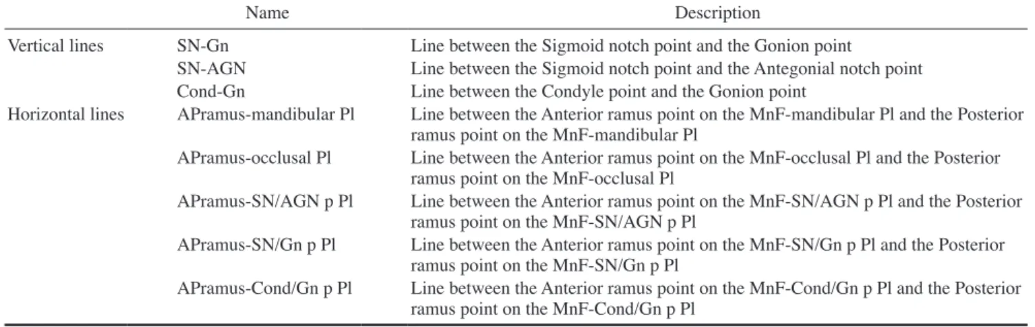 Table 2.  Descriptions of the anatomic lines used for the measurements in this study