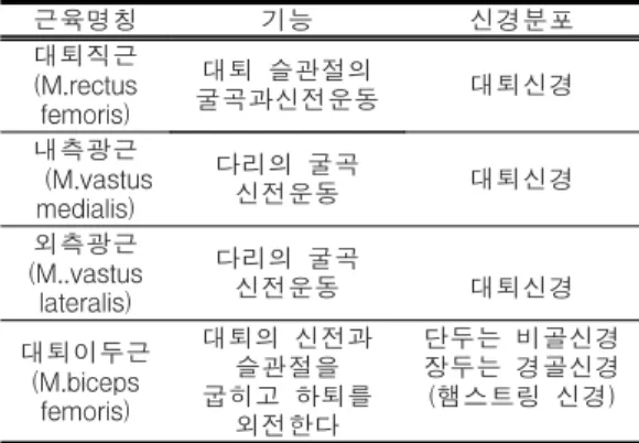 Table  2.  Name  and  function  of  measured  muscle
