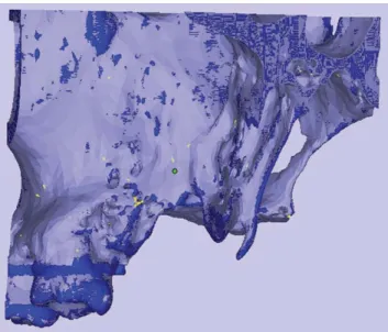 Fig. 3. Measurement of differences using standardized FOV images