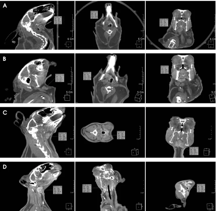 Fig. 7. The contrast density is measured on the non-enhanced CBCT images (A), type 1 enhanced CBCT image (B), type 2 enhanced CBCT image (C), and type 3 enhanced CBCT image (D).