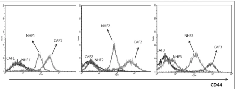 Fig. 1. The expression of CD44 is higher in CAFs than in NHFs. Three sets of CAFs and NHFs from three patients were examined by  FACS analysis to measure CD44 expression