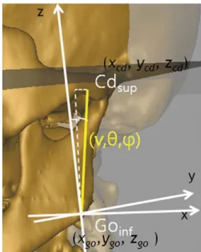 Fig. 2. A. Spherical coordinates of the analyzed facial lines and ramal height is shown