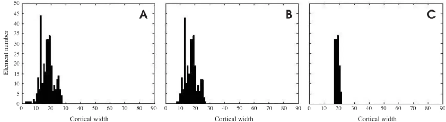 Fig. 4. Histogram-based automatic clustering (HAC) algorithm shows the results of the right mandibular cortical bone