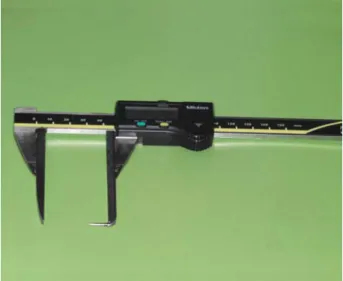 Fig. 3. A modified digital caliper to measure distance between landmarks located in concave surface.