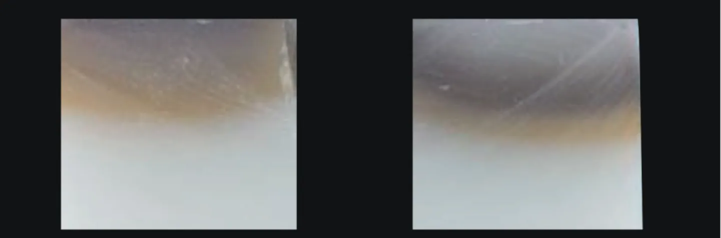 Fig. 13.  색의 층이 각기 다른 모습으로 형성되어있다