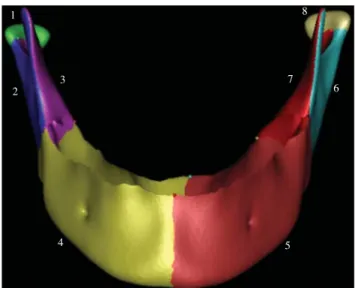 Fig. 1. Decomposition of 3D mandible shape for the construction of correspondence maps.123 7 8 645