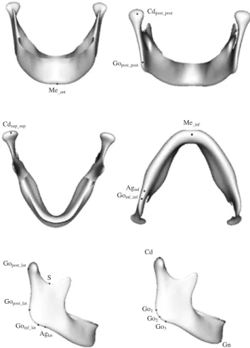 Fig. 2. Established landmarks for 3D cephalometric measurements in different viewing positions.