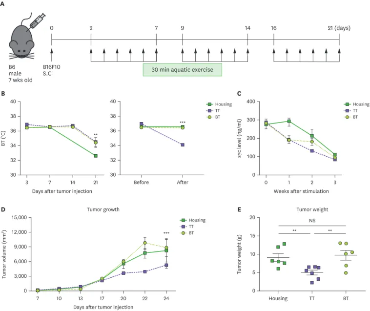 Figure 1. Control of tumor growth by aquatic exercise at TT. (A) Time schedule for aquatic exercise