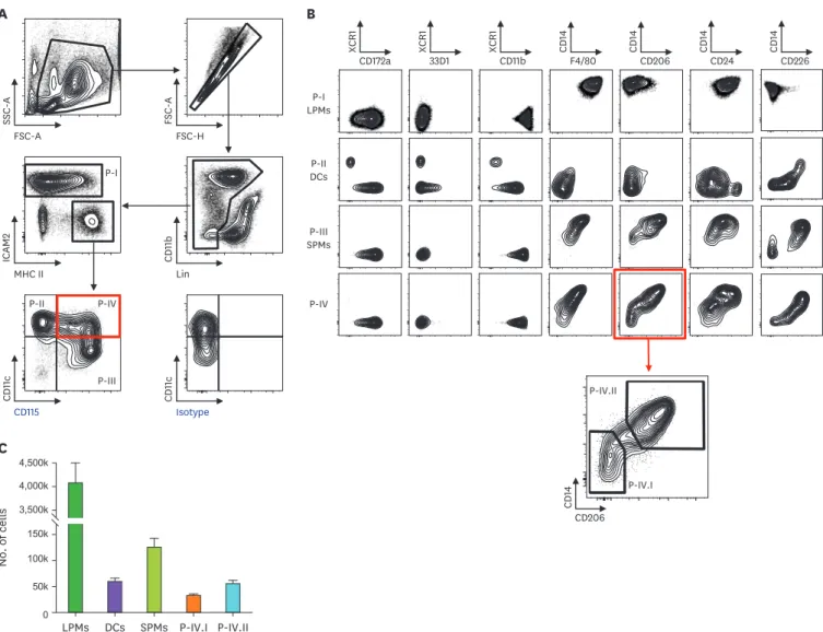 Figure 1. Classification of peritoneal myeloid mononuclear cells. Cells in the peritoneal cavity are harvested and analyzed by multi-parameter flow cytometry