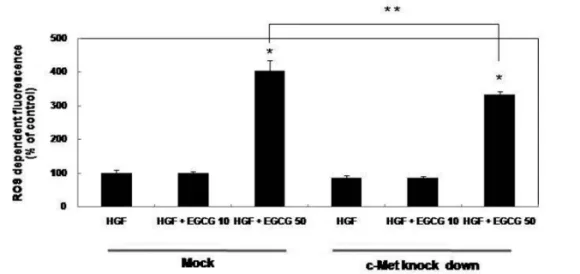 Fig. 6. Effect of EGCG on ROS generation in KB cells. Cells were treated with HGF or EGCG for 24h