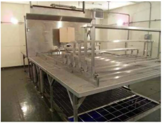 Fig.  1.  Gamma  ray  irradiation. Fig.  2.  Innoculated  samples.